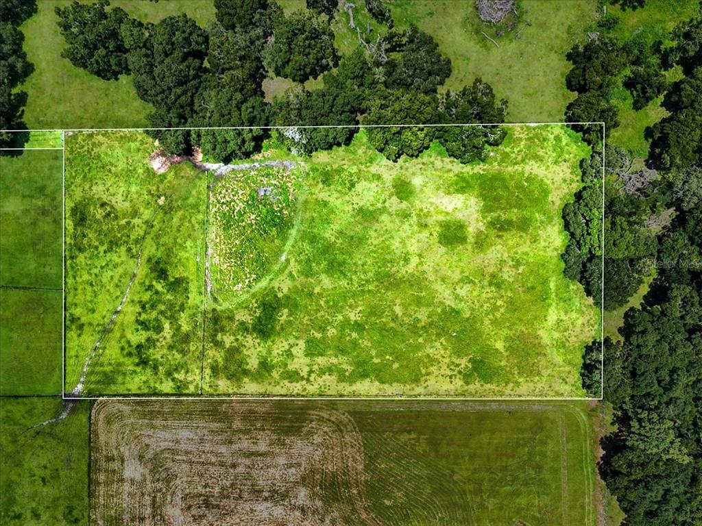 39410 Sparkman Road Dade City, FL 33525 - Photo 22 of 26