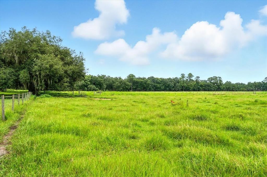 39410 Sparkman Road Dade City, FL 33525 - Photo 3 of 26