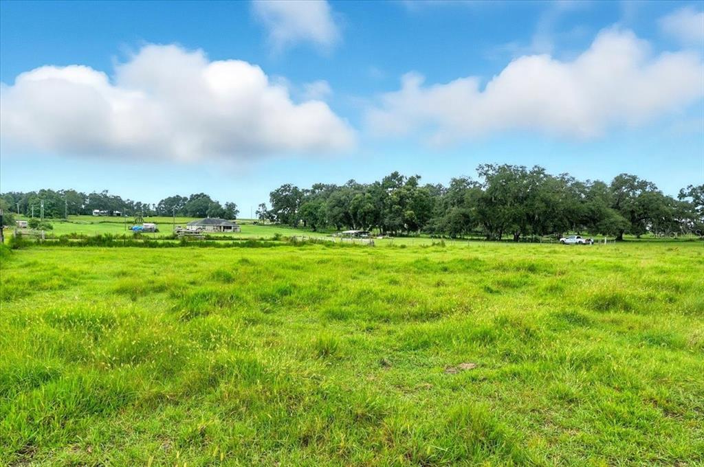 39410 Sparkman Road Dade City, FL 33525 - Photo 5 of 26