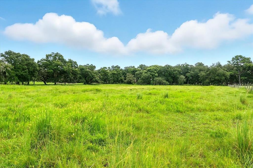 39410 Sparkman Road Dade City, FL 33525 - Photo 6 of 26