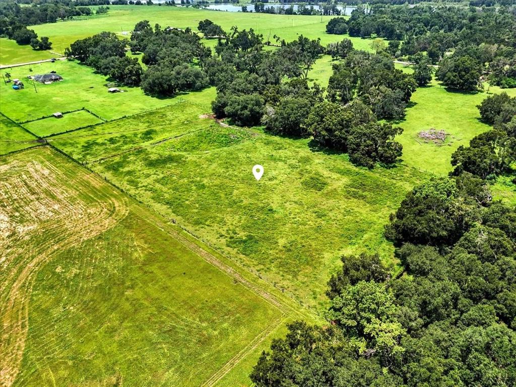 39410 Sparkman Road Dade City, FL 33525 - Photo 9 of 26