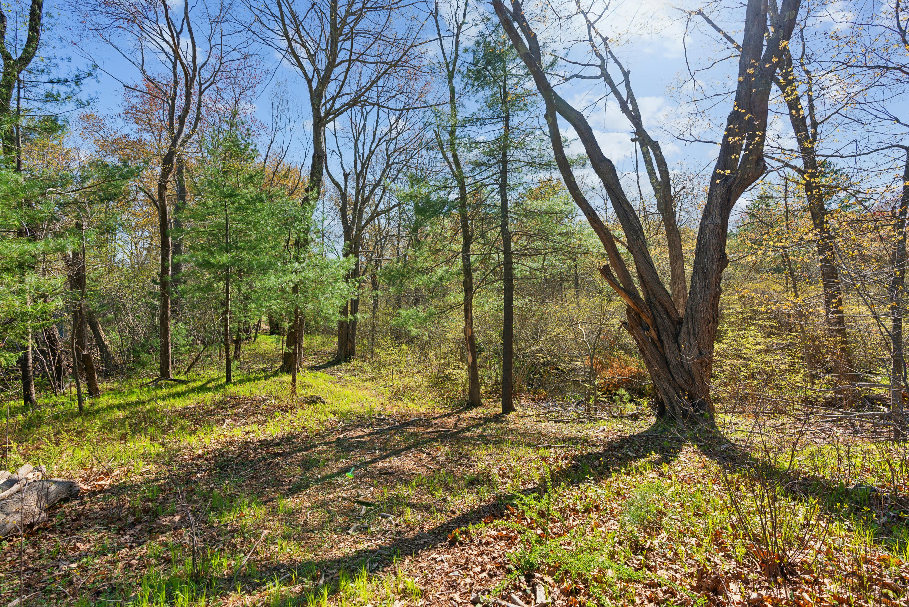 52 Goodwin Road Kittery, ME 03905 - Photo 12 of 20