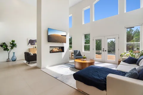 a living room with furniture and a potted plant
