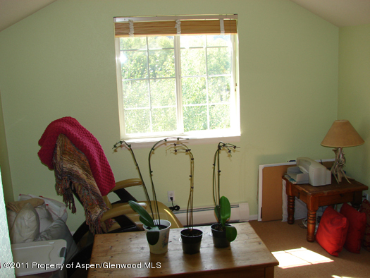 8202 Elk Lane Basalt, CO 81621 - Photo 11 of 17 92