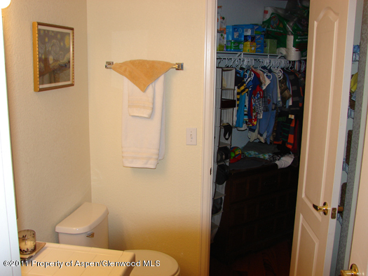 8202 Elk Lane Basalt, CO 81621 - Photo 13 of 17 89