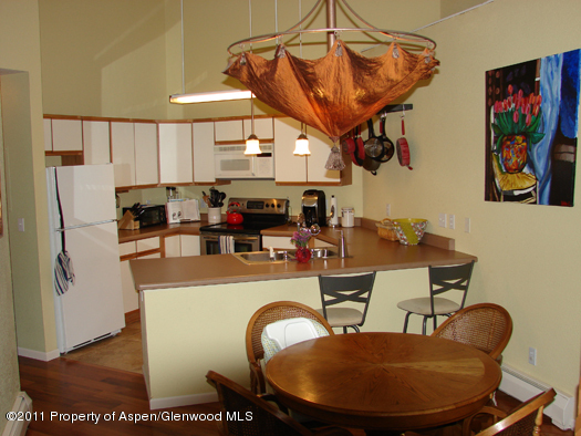 8202 Elk Lane Basalt, CO 81621 - Photo 3 of 17 83