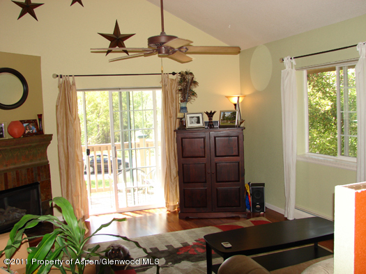 8202 Elk Lane Basalt, CO 81621 - Photo 4 of 17 85