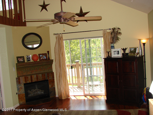 8202 Elk Lane Basalt, CO 81621 - Photo 6 of 17 86