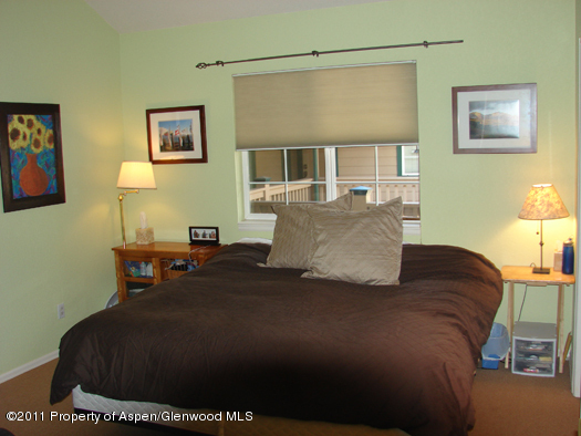 8202 Elk Lane Basalt, CO 81621 - Photo 8 of 17 93