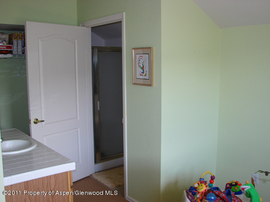 8202 Elk Lane Basalt, CO 81621 - Photo 9 of 17 91