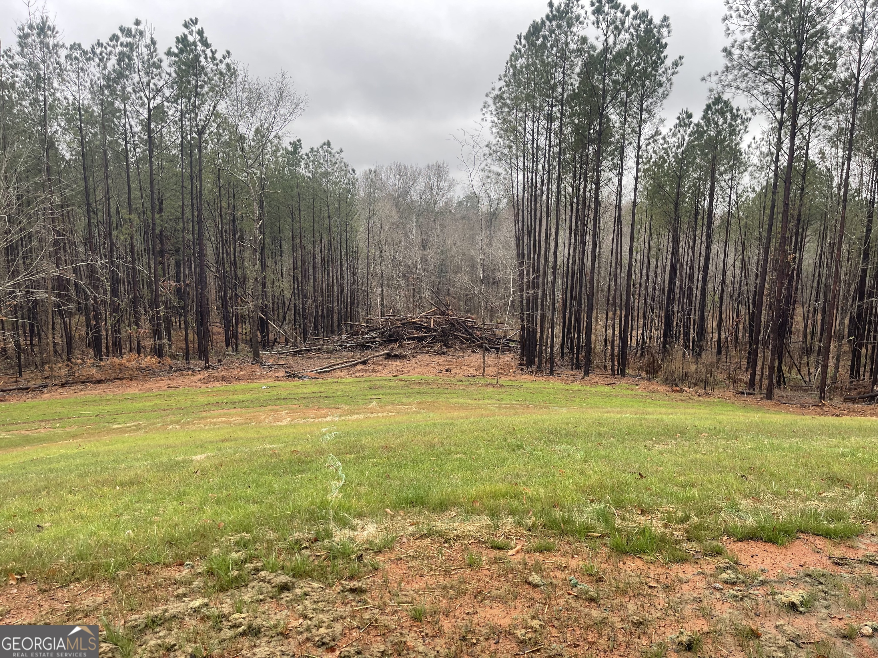 4444 County Line Road Mansfield, GA 30055 - Photo 23 of 28