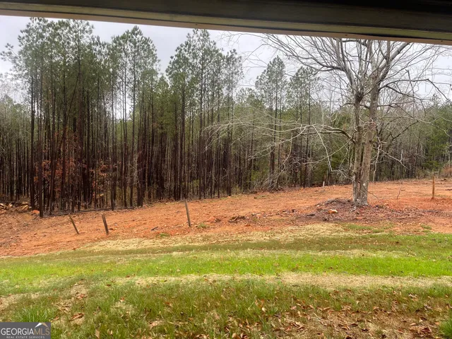 a view of a yard with a large tree