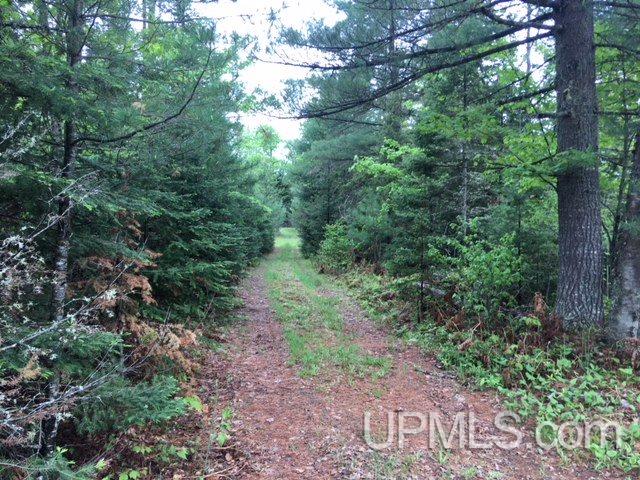 13551 Co Road Ishpeming, MI 49849 - Photo 19 of 24