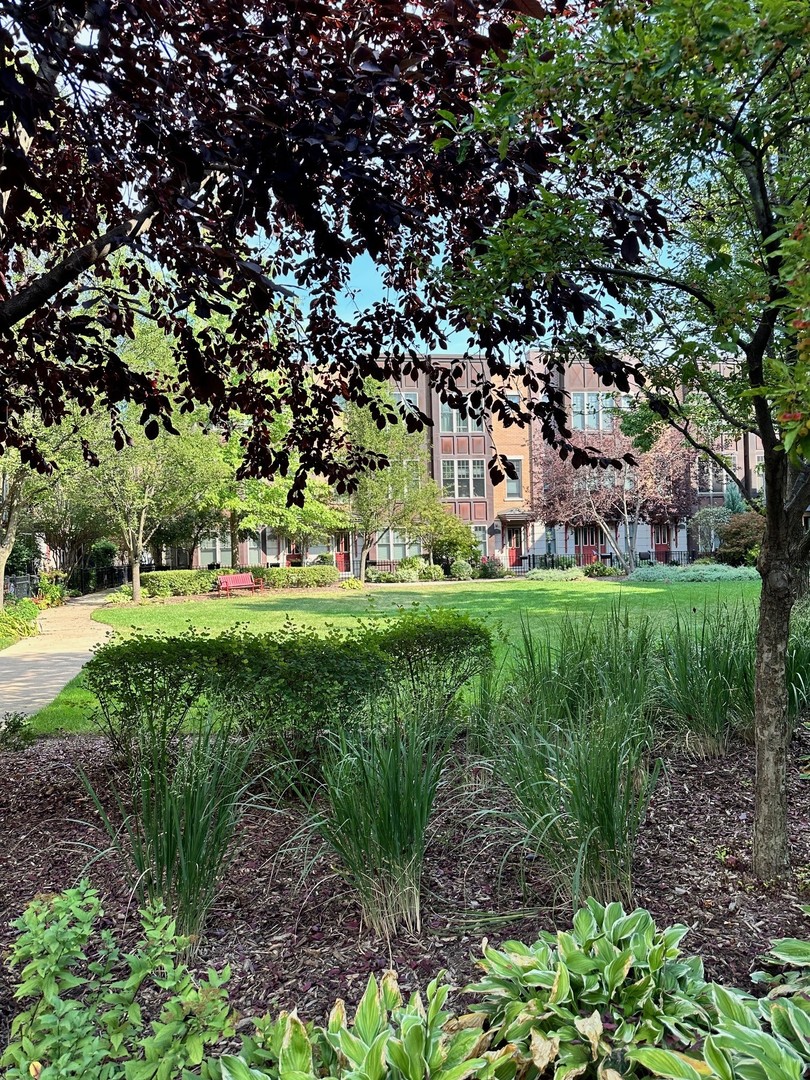 3003 West Cornelia Avenue Chicago, IL 60618 - Photo 19 of 25 a view of park