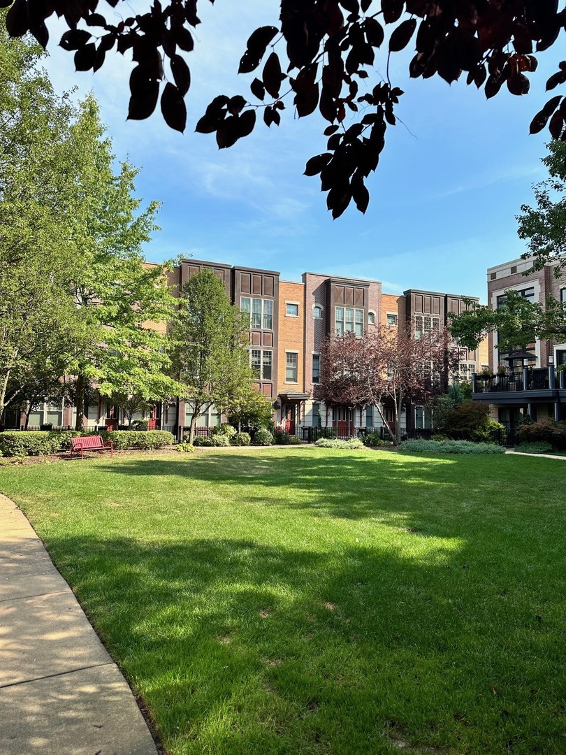 3003 West Cornelia Avenue Chicago, IL 60618 - Photo 21 of 25 a view of a green field