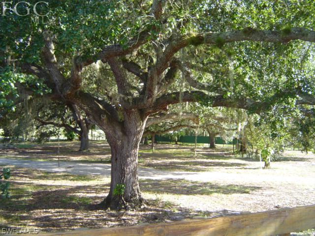 535 Trader Road LaBelle, FL 33935 - Photo 9 of 12 Gallery Image 9