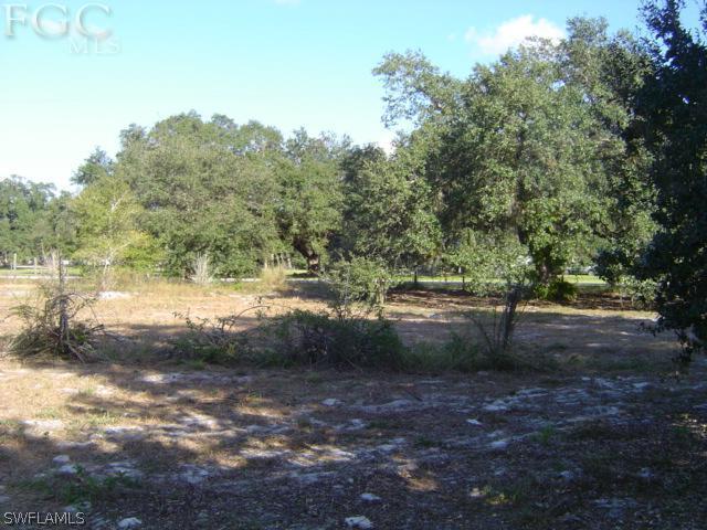 535 Trader Road LaBelle, FL 33935 - Photo 10 of 12 Gallery Image 10