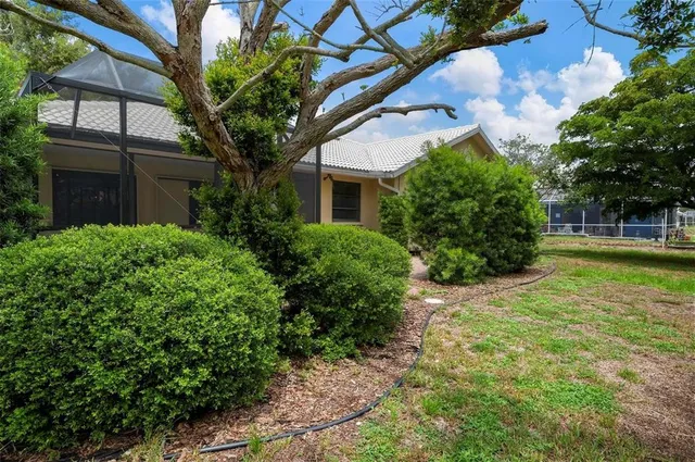 a plant is in front of a house
