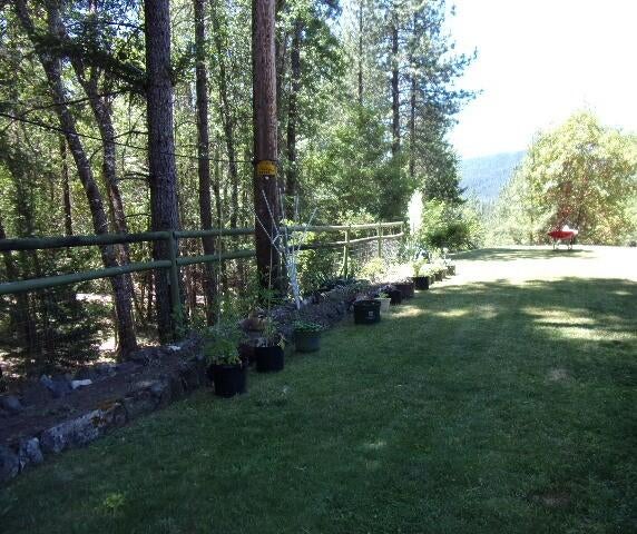 16880 Ford Road Rogue River, OR 97537 - Photo 28 of 37 level front yard area