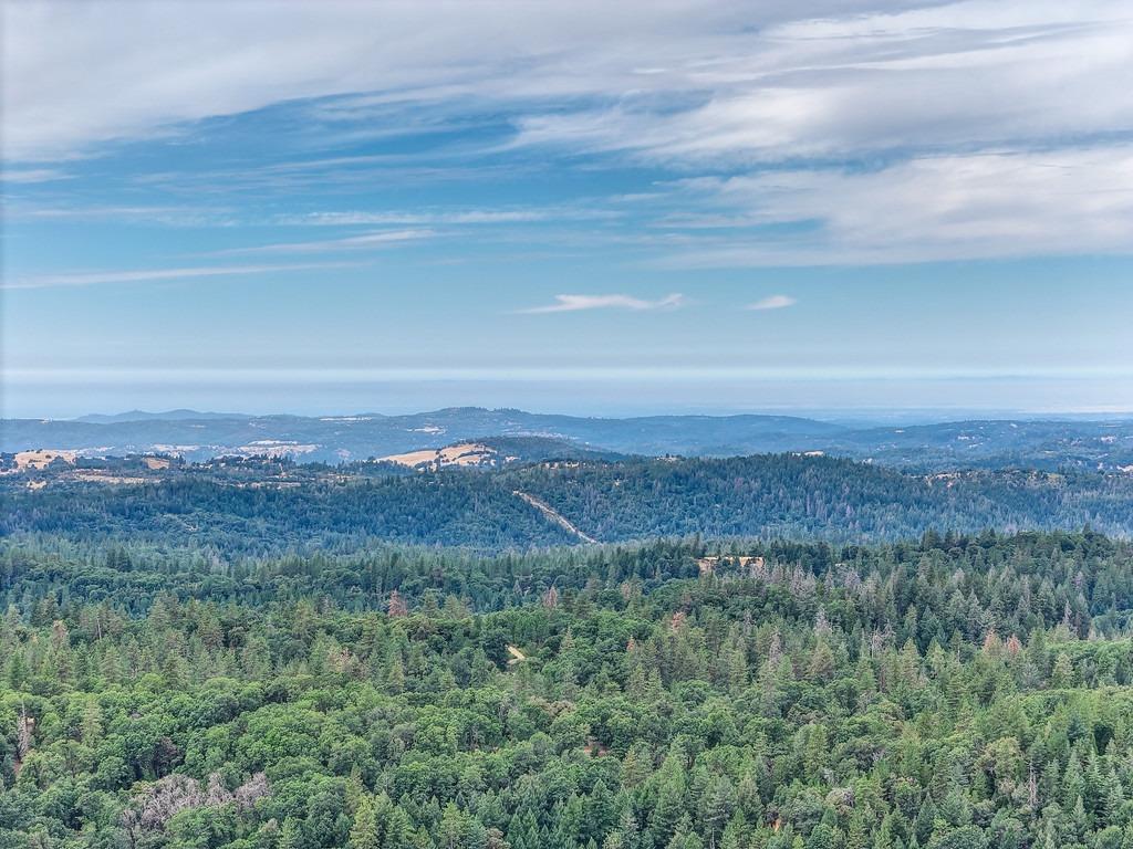 3701 Marshall Road Georgetown, CA 95634 - Photo 9 of 11