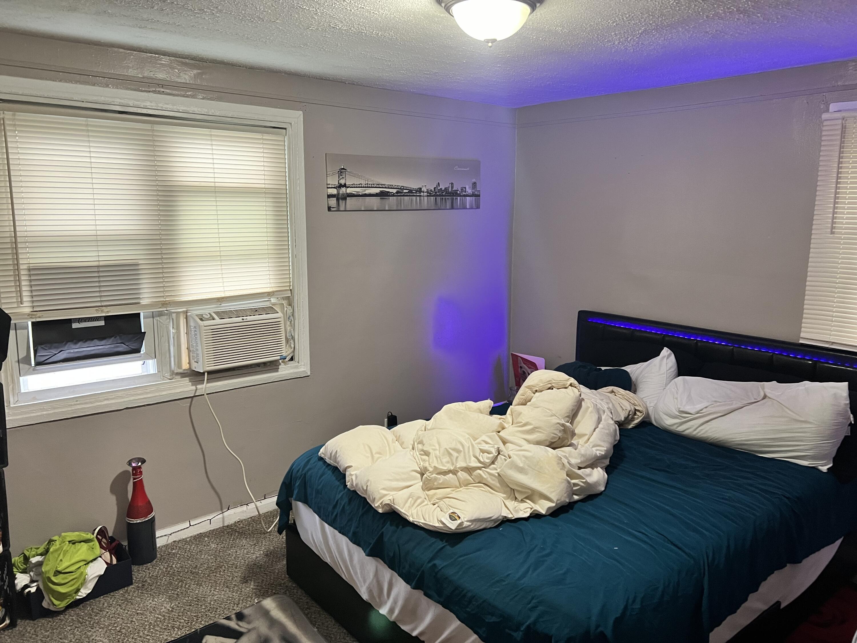 8880 Rutherford Street Detroit, MI 48228 - Photo 16 of 31 IMG_0702