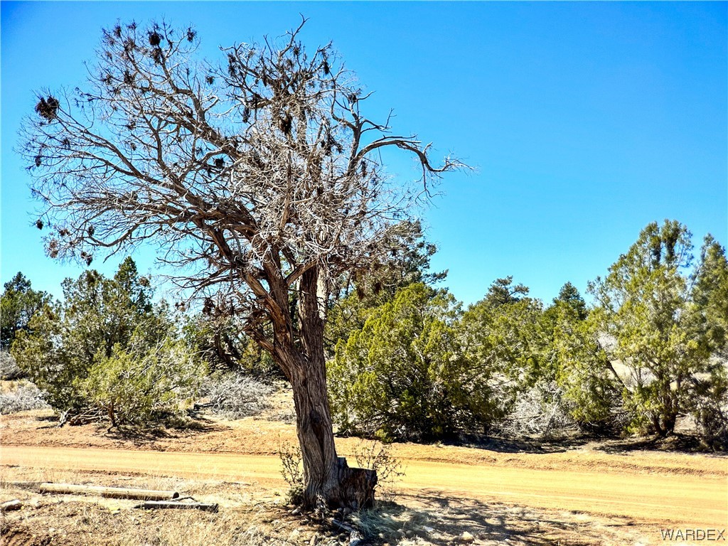 4628 North Diamond M Ranch Road Kingman, AZ 86401 - Photo 61 of 98 Gallery Image 61