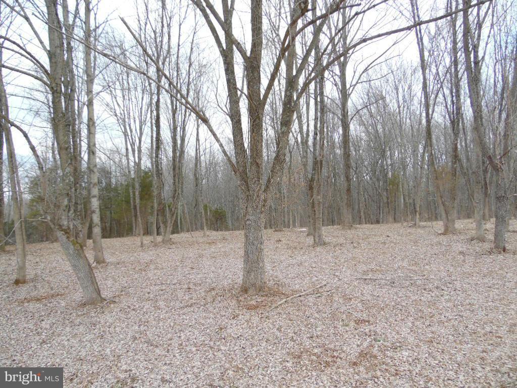 Cannon Ridge Lane Middleburg, VA 20117 - Photo 11 of 23 Exterior (General)