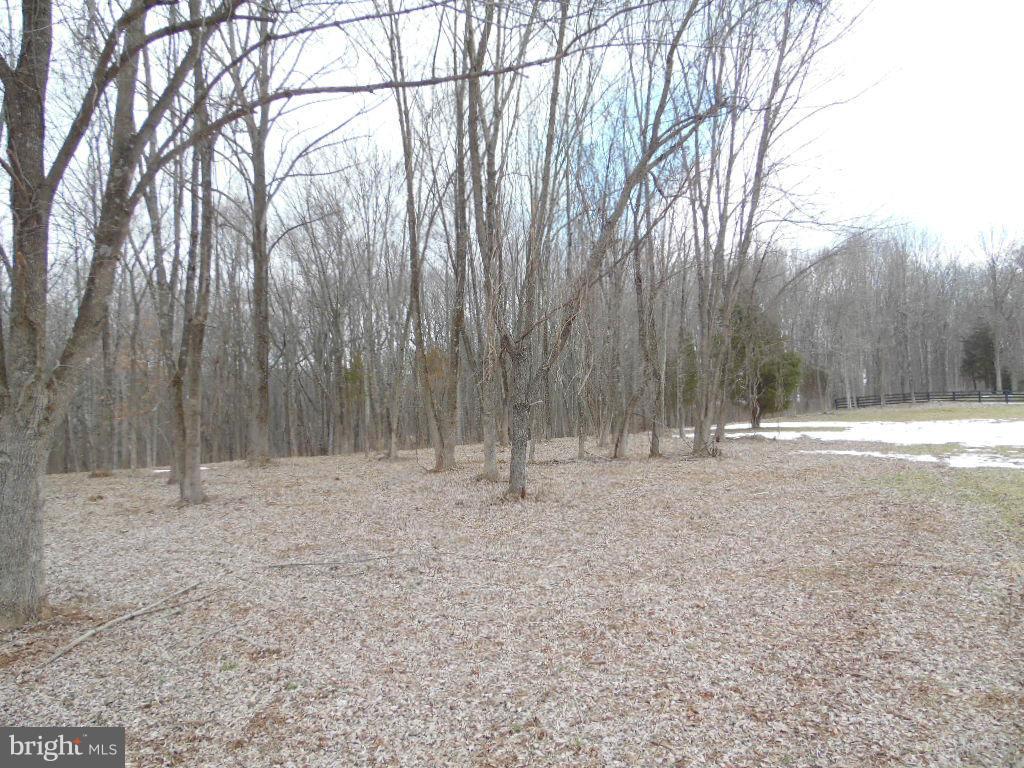 Cannon Ridge Lane Middleburg, VA 20117 - Photo 12 of 23 Exterior (General)