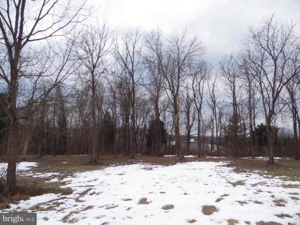 Cannon Ridge Lane Middleburg, VA 20117 - Photo 20 of 23 Exterior (General)