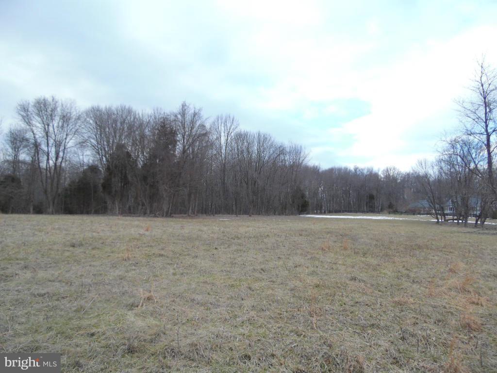 Cannon Ridge Lane Middleburg, VA 20117 - Photo 21 of 23 Exterior (General)