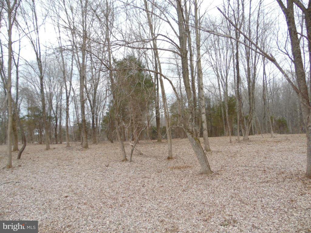 Cannon Ridge Lane Middleburg, VA 20117 - Photo 10 of 23 Exterior (General)