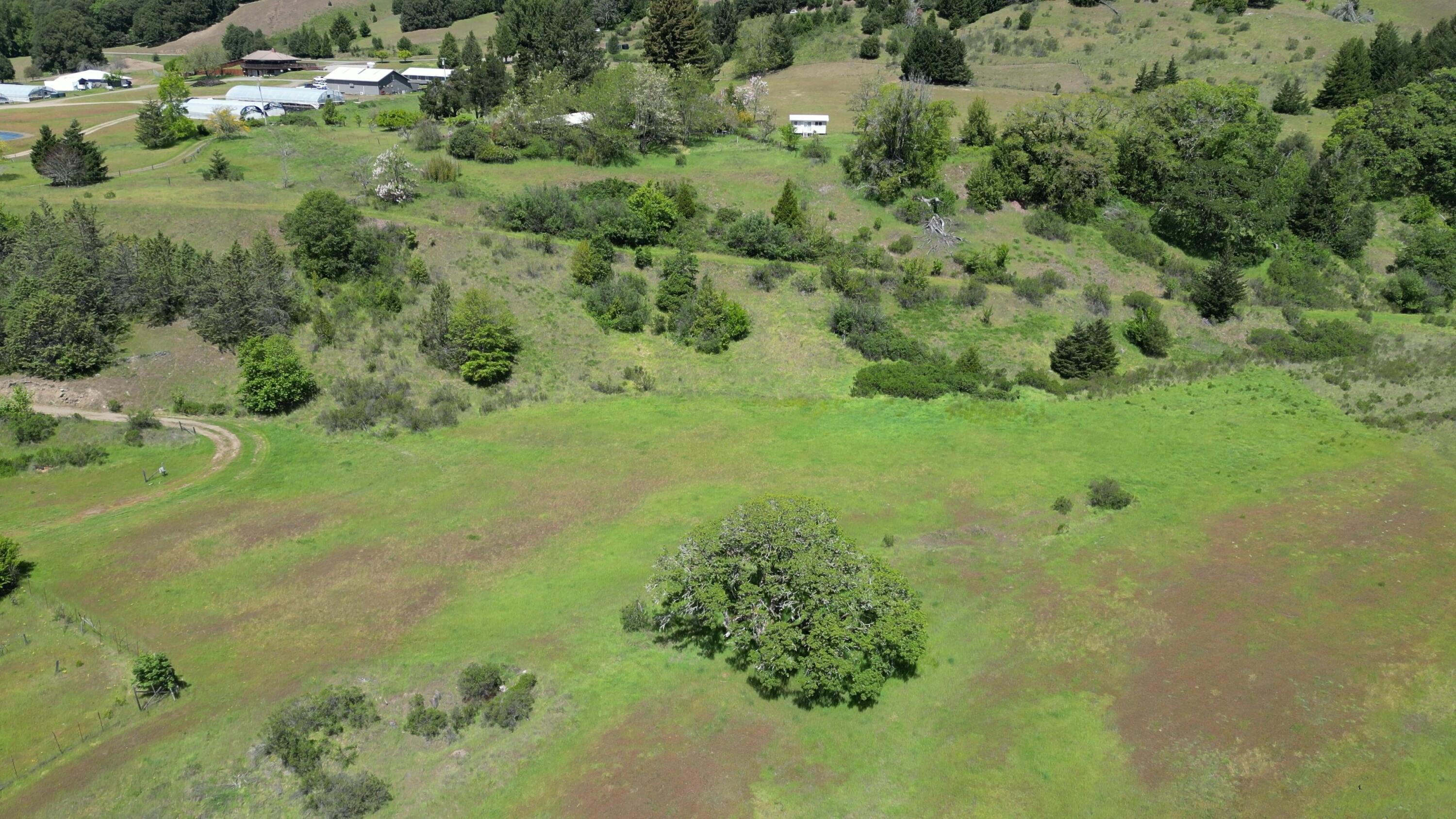 725 Old Hindley Ranch Road Petrolia, CA 95558 - Photo 28 of 33