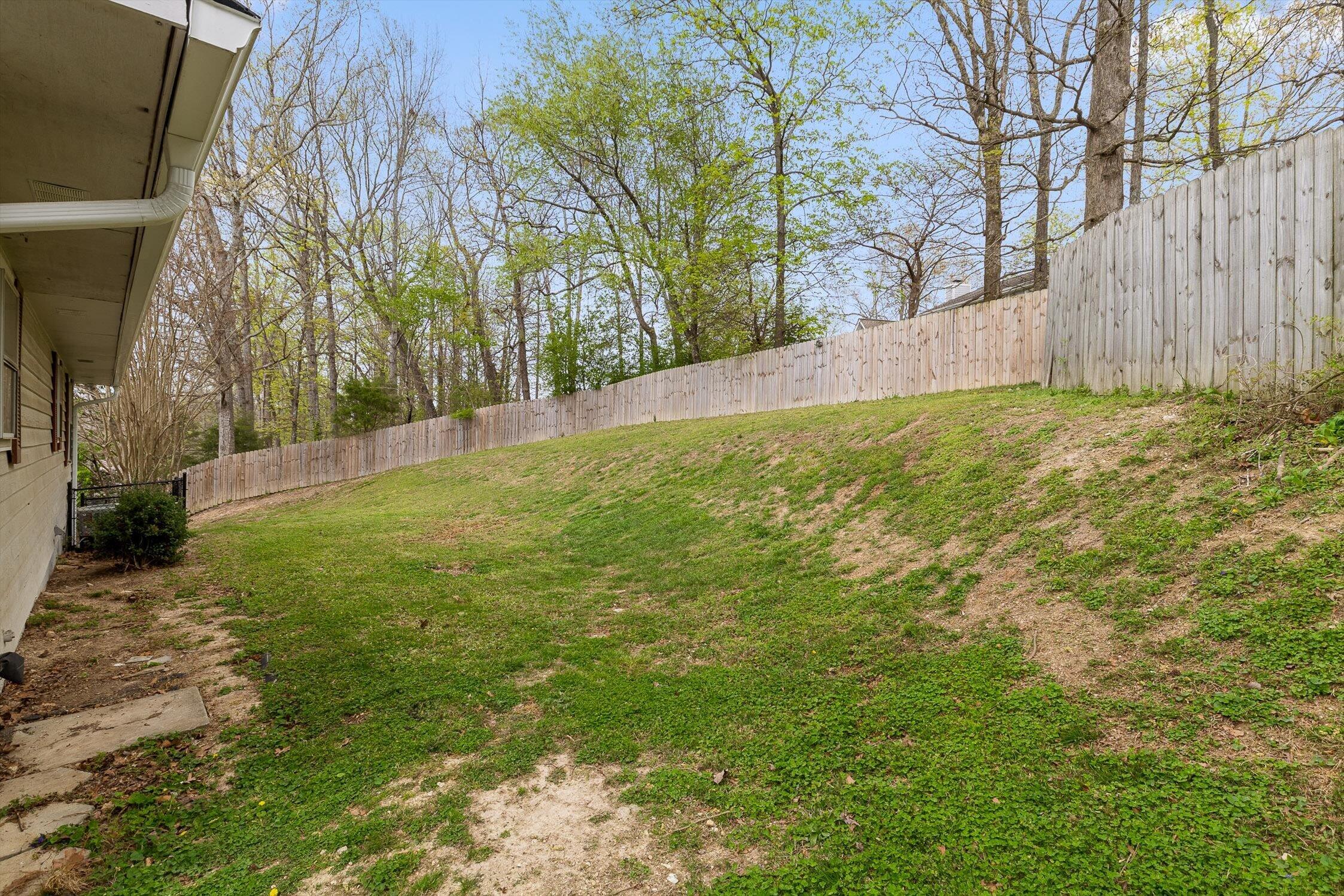 996 Hurricane Creek Road Chattanooga, TN 37421 - Photo 25 of 29 Backyard