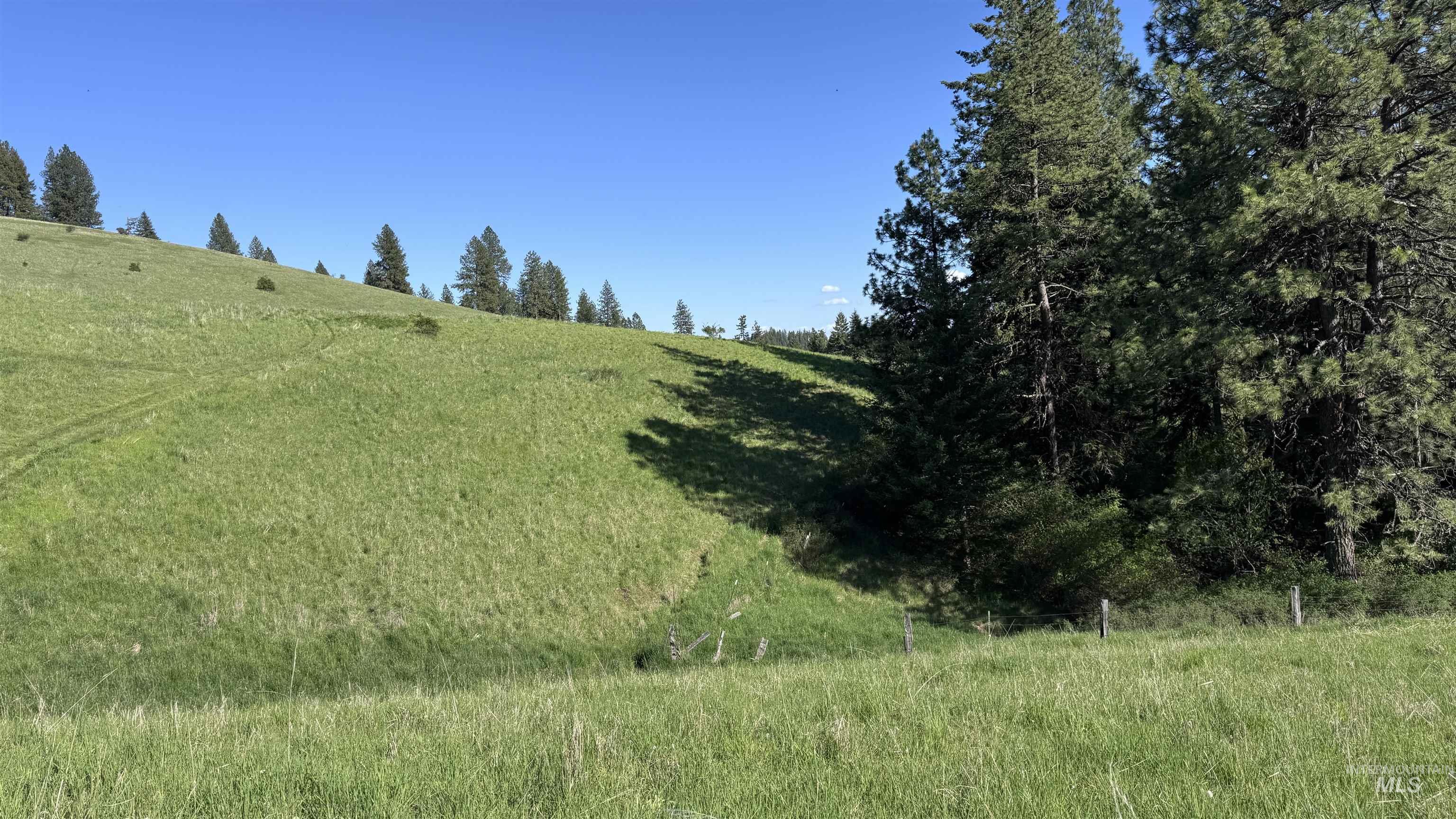 Tbd Harrisburg Road Kamiah, ID 83536 - Photo 17 of 50