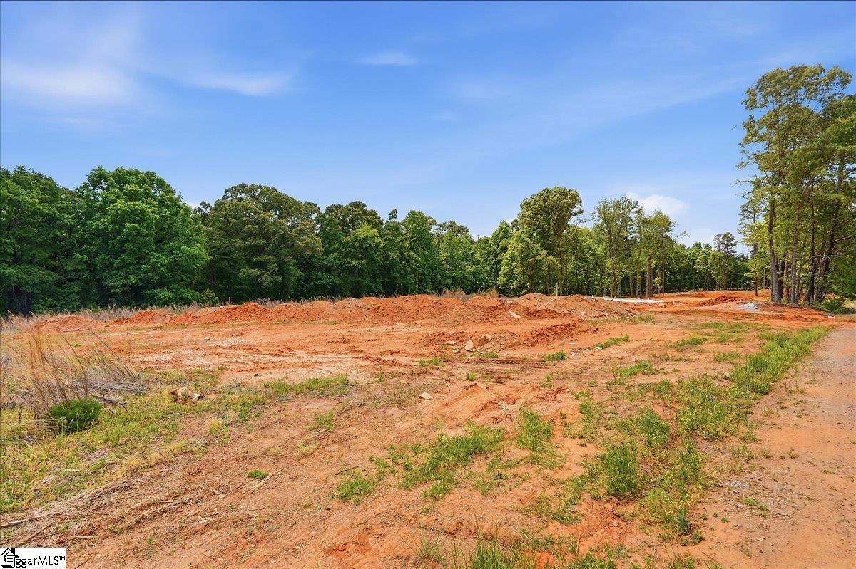 0 Parris Farm Road, Unit LOT 5 Chesnee, SC 29323 - Photo 22 of 26
