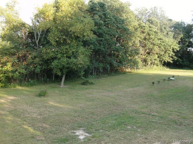 2630 Tozer Road North Branch, MI 48461 - Photo 19 of 24 Backyard