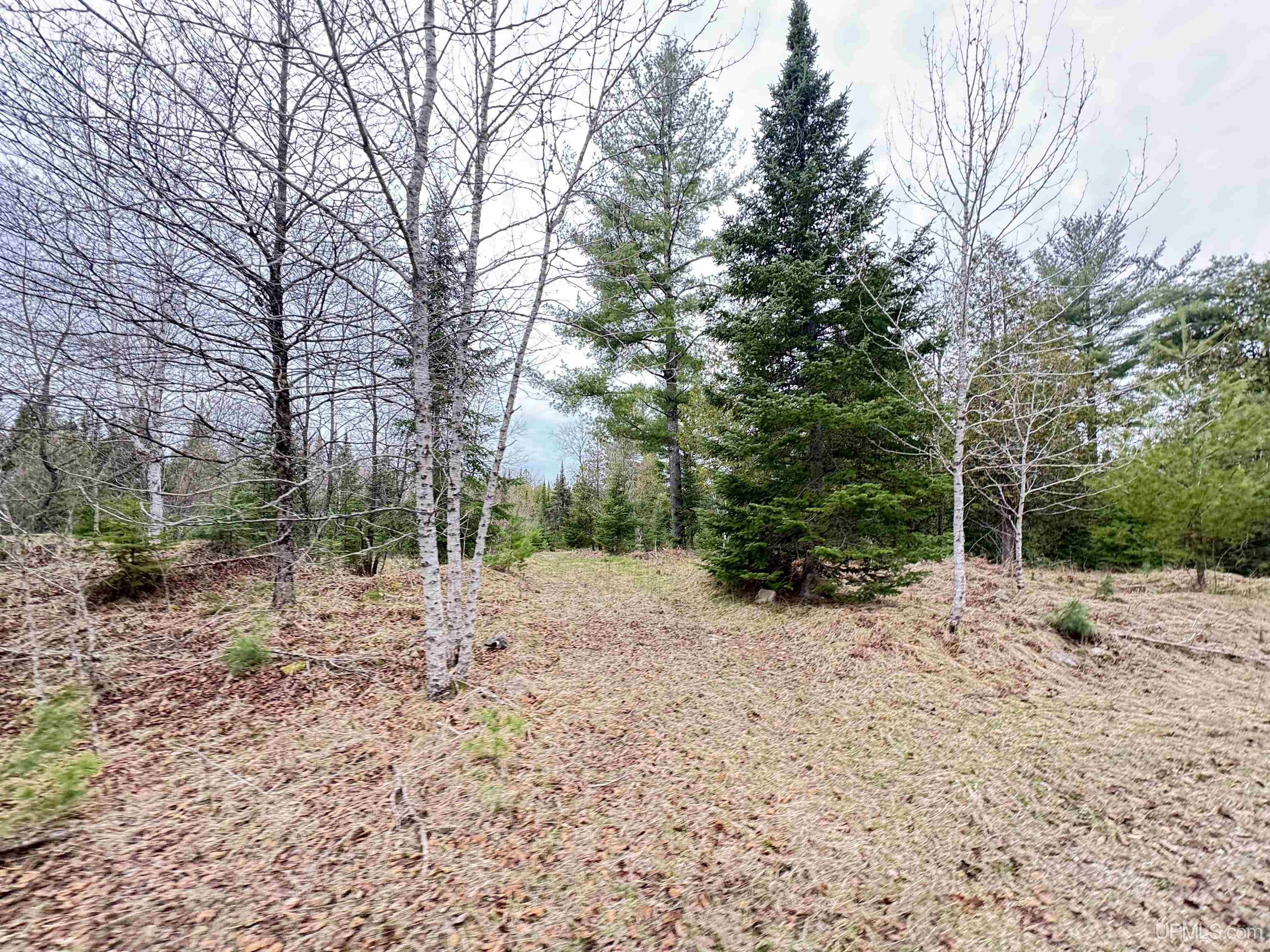 W4777 Lahay Road Daggett, MI 49821 - Photo 44 of 67