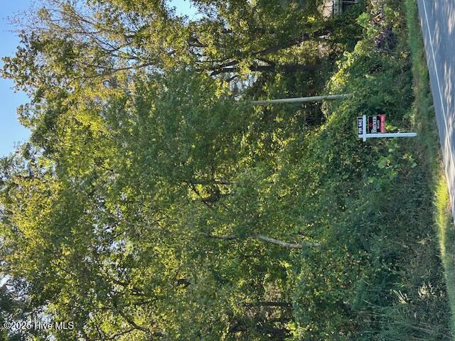 Lot 1 Highway 403 Faison, NC 28341 - Photo 1 of 1 Front