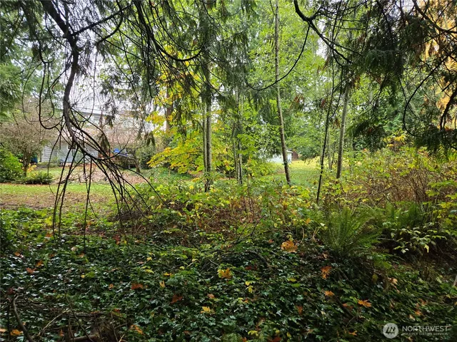 a view of a yard with an outdoor space