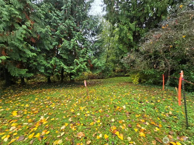 a view of yard with green space