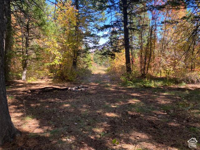 St, Unit 56 Bancroft, ID 83217 - Photo 10 of 17