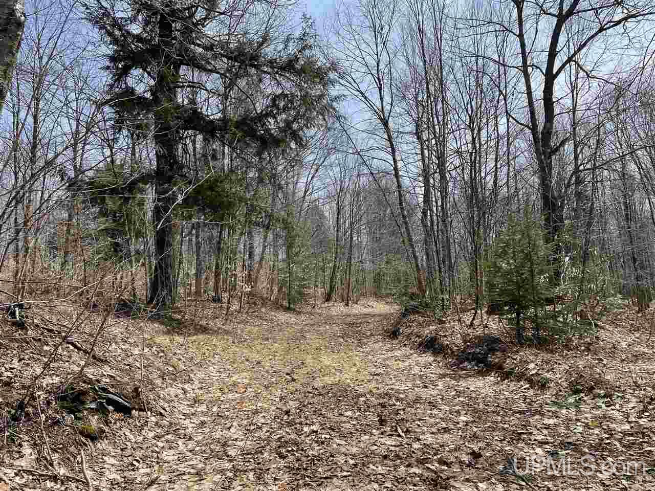 0 Old Seney Road Seney, MI 49883 - Photo 30 of 31
