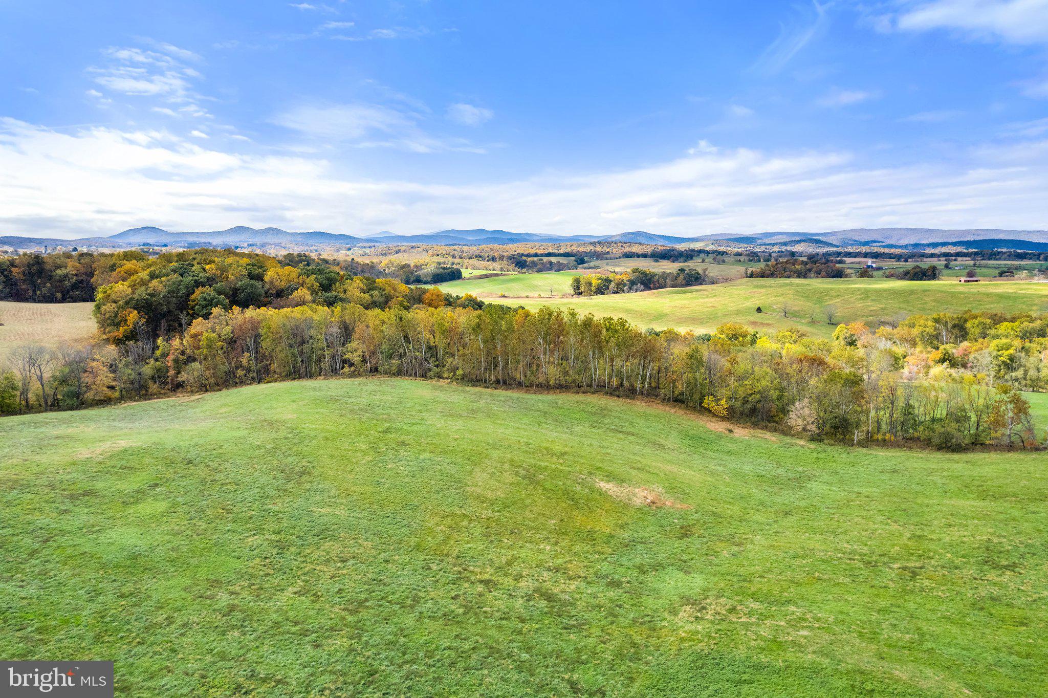 8263 Oak Spring Road Marshall, VA 20115 - Photo 6 of 12