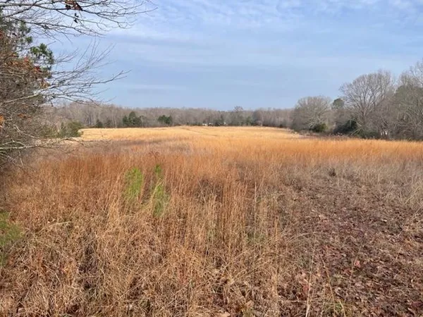 $39,500 | Reaves Road, Middleton, TN 38052