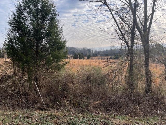 Reaves Road Middleton, TN 38052 - Photo 4 of 6