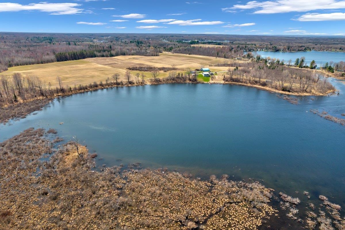 4374 East County Line Road Hale, MI 48739 - Photo 9 of 23