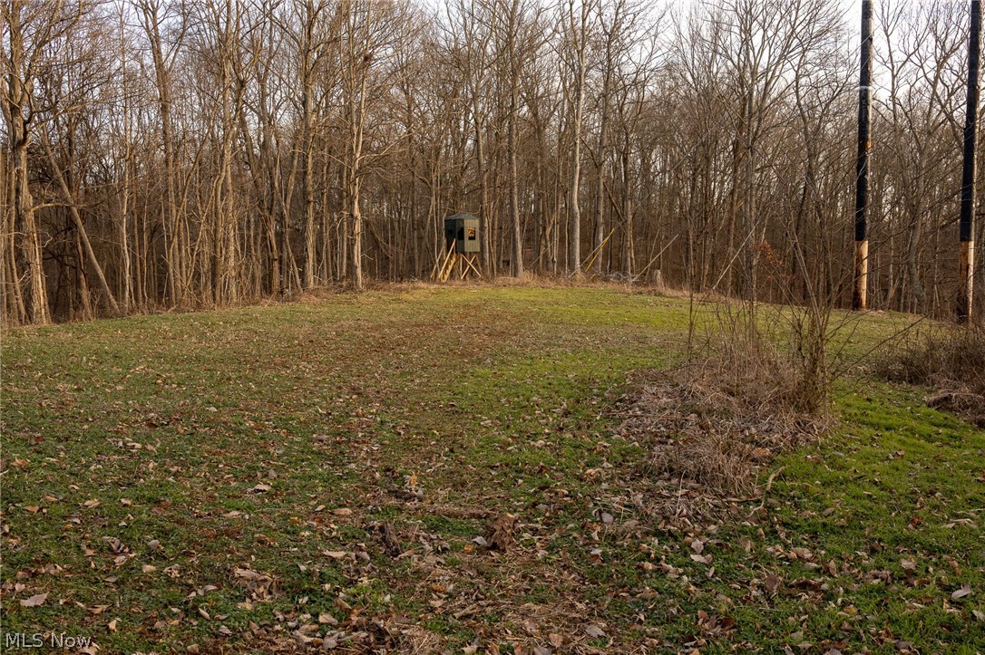 32290 Bailey Run Road Pomeroy, OH 45769 - Photo 17 of 41