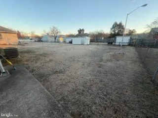 a view of a dry yard with trees