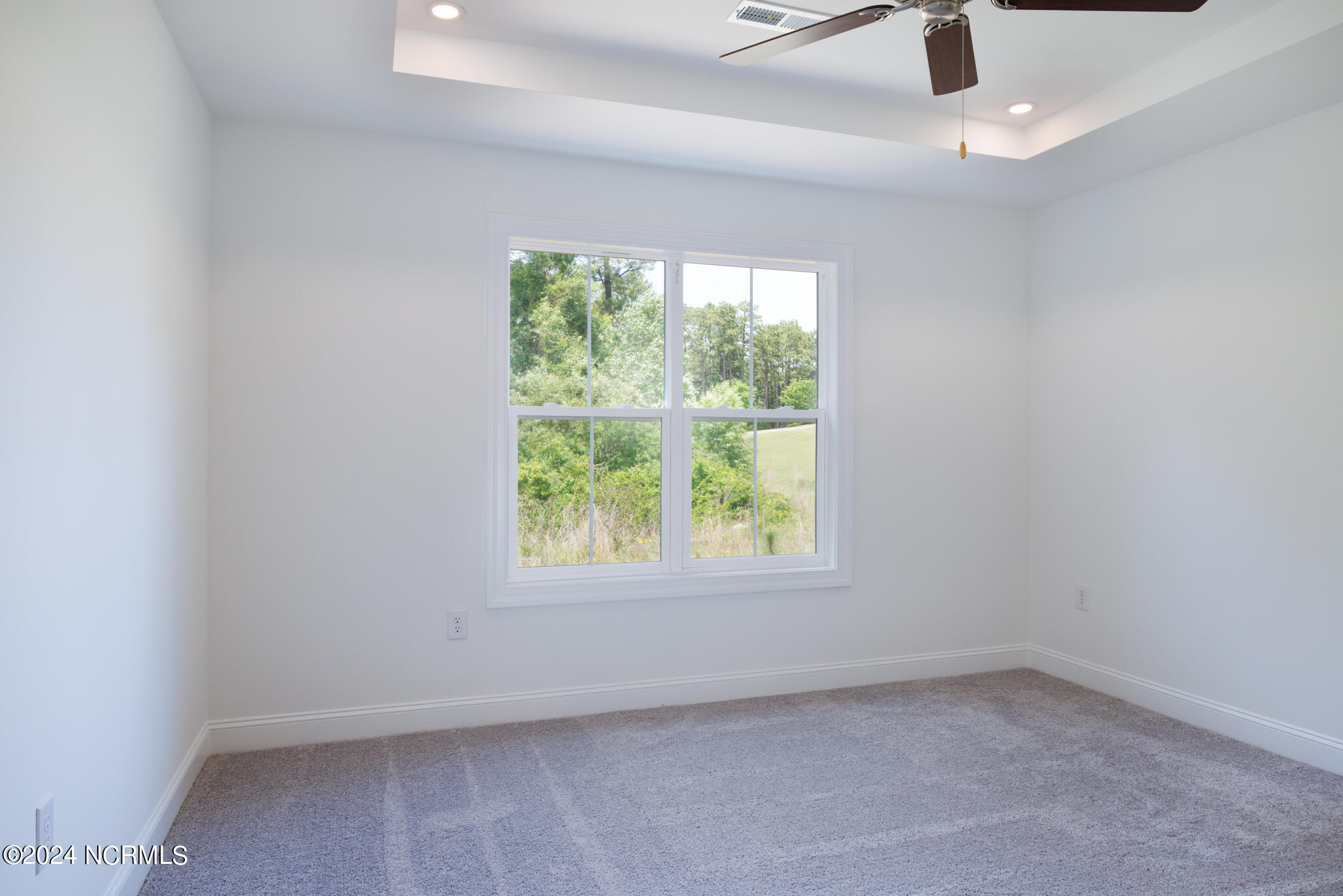 160 Falkirk Court Carthage, NC 28327 - Photo 8 of 22 8