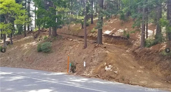 a view of a yard with tree s